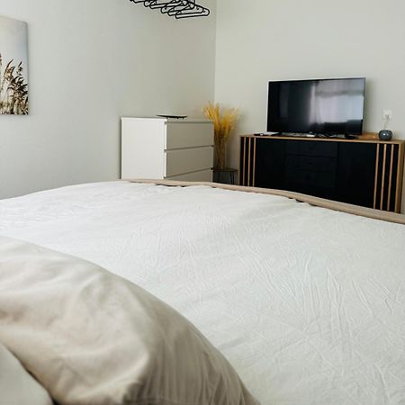Eine Schoene Wohnung Am Messeplatz Basilea Esterno foto