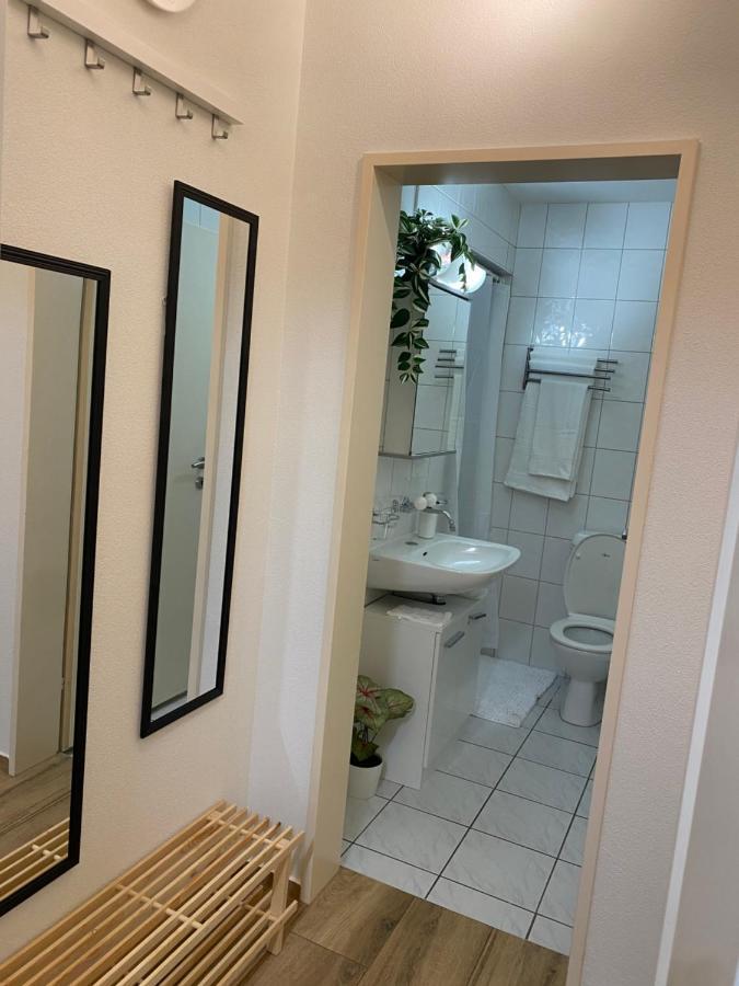 Eine Schoene Wohnung Am Messeplatz Basilea Esterno foto